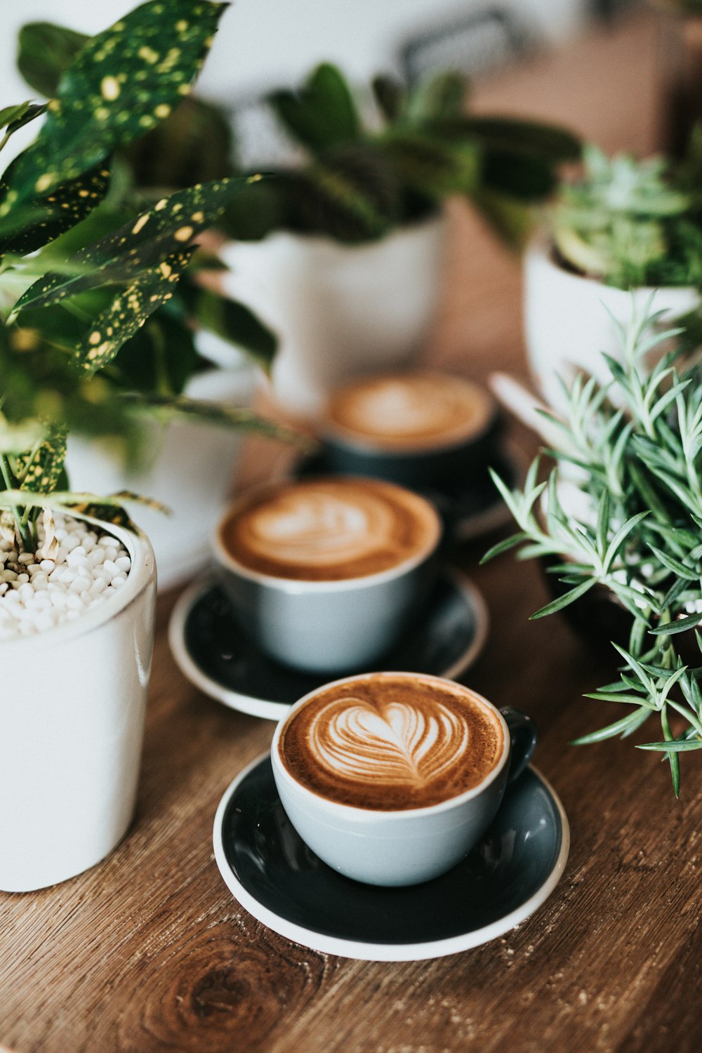 A latte with rosetta art